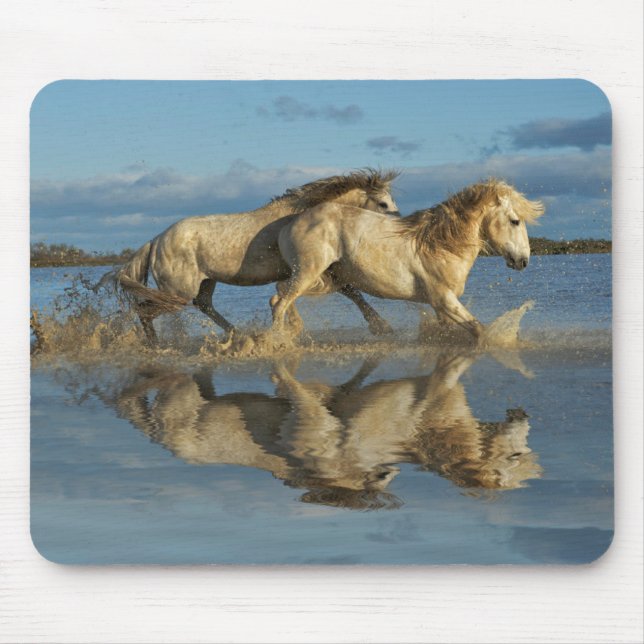 Camargue Horses and Reflection, Southern France Mouse Mat (Front)