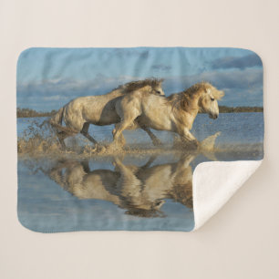 Camargue Horses and Reflection, Southern France Sherpa Blanket