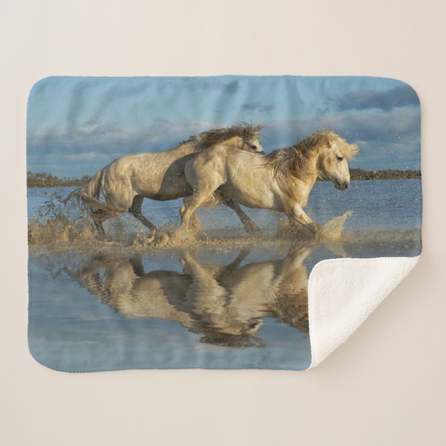 Camargue Horses and Reflection, Southern France Sherpa Blanket (Front (Horizontal))