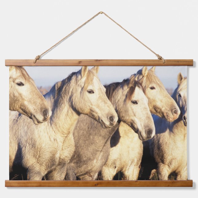 Camargue Horses (Eguus caballus) Hanging Tapestry (Front)