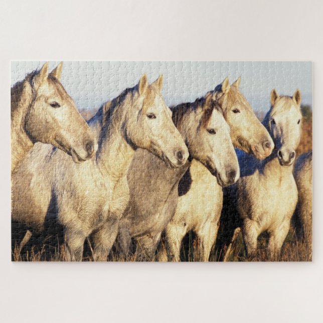 Camargue Horses (Eguus caballus) Jigsaw Puzzle (Horizontal)