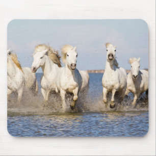 Camargue Horses Mouse Mat