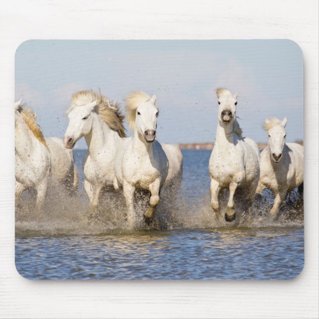 Camargue Horses Mouse Mat (Front)