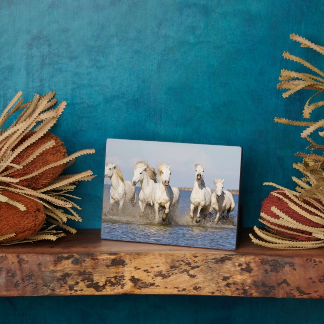 Camargue Horses Plaque (Side)