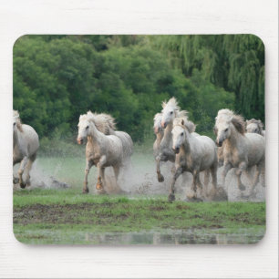 Camargue Horses Running in Water Mouse Mat