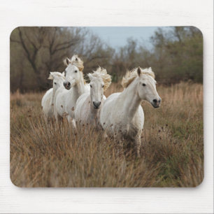 Camargue Horses Running Mouse Mat