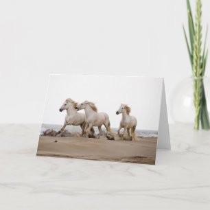 Camargue Horses Running on the Beach Card