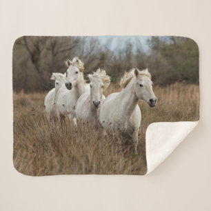 Camargue Horses Running Sherpa Blanket