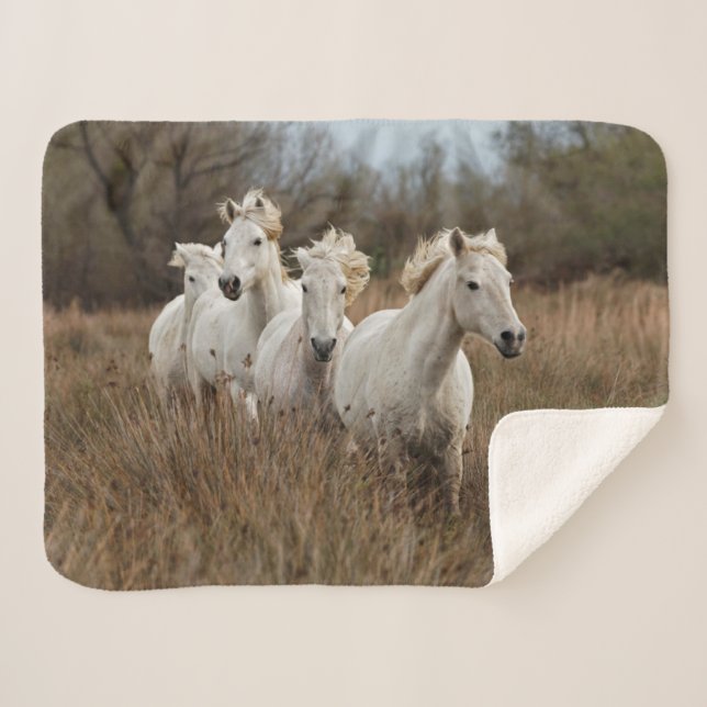 Camargue Horses Running Sherpa Blanket (Front (Horizontal))