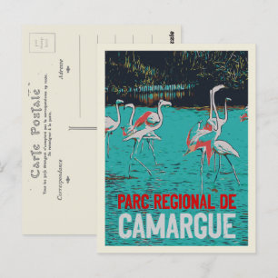 Camargue regional park, France, pink flamingos Postcard