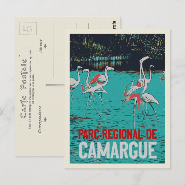 Camargue regional park, France, pink flamingos Postcard (Front/Back)