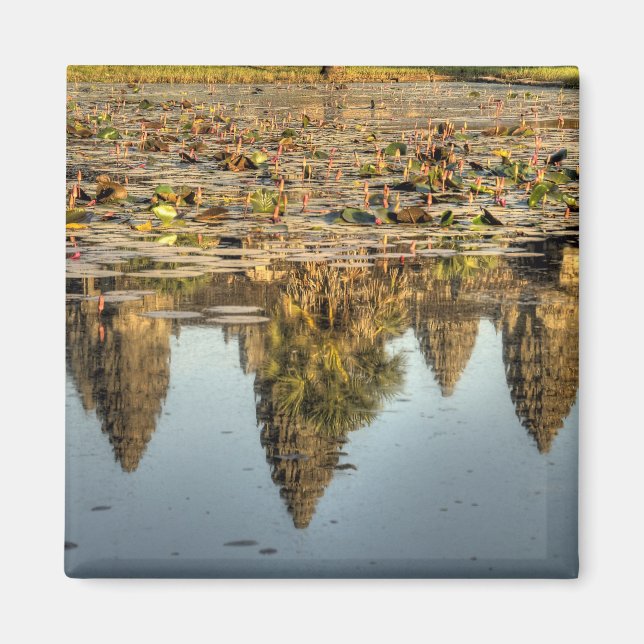 Cambodia, Angkor Wat. Reflection of temple Magnet (Front)