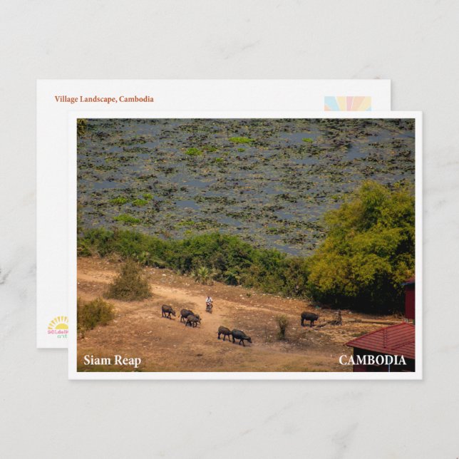 Cambodian Village Landscape Postcard (Front/Back)