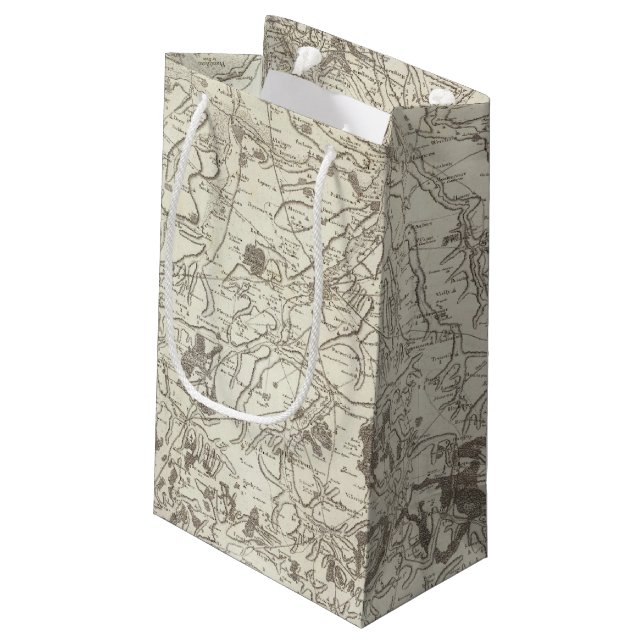 Cambrai Small Gift Bag (Back Angled)
