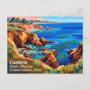 Cambria State Marine Conservation Area California Postcard