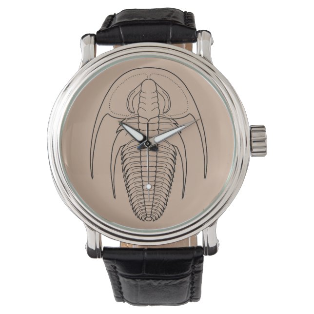 Cambrian trilobite Fallotaspis longa Watch (Front)