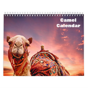 Camel 2026 calendar