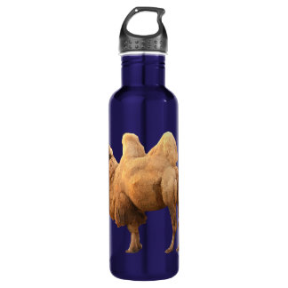CAMEL 710 ML WATER BOTTLE