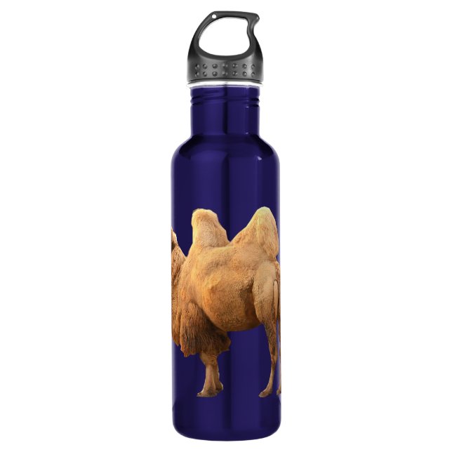 CAMEL 710 ML WATER BOTTLE (Front)