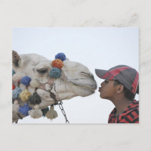 Camel and boy postcard