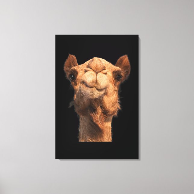 Camel Animal Face Canvas Print (Front)