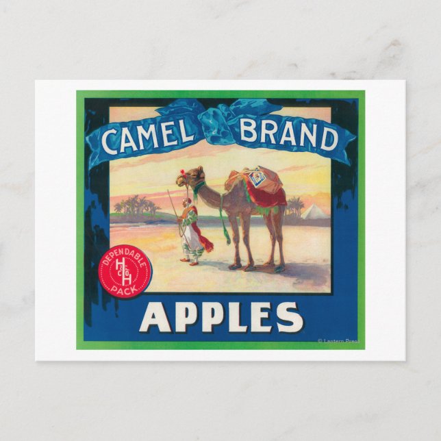 Camel Apple Label - Washington State Postcard (Front)