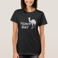 Camel Arabian Camel Animal Hump Day  Hump Day Came