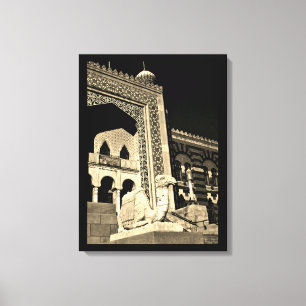 Camel at Rest  Canvas Print
