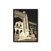 Camel at Rest