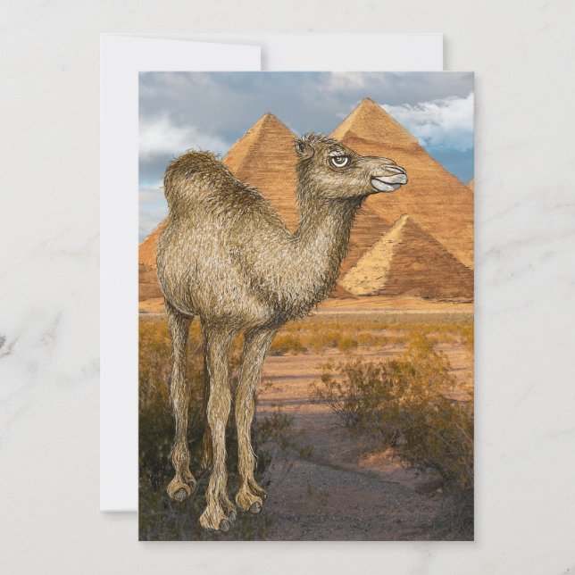 Camel at the Pyramids Invitation (Front)