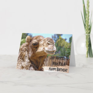 Camel Birthday Card