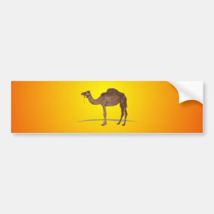 Camel Bumper Sticker