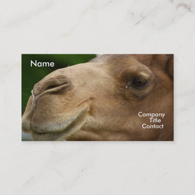 Camel Business Card (Front)