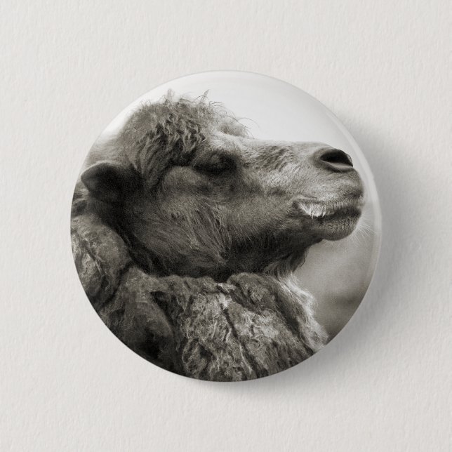 Camel Button (Front)