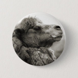 Camel Button
