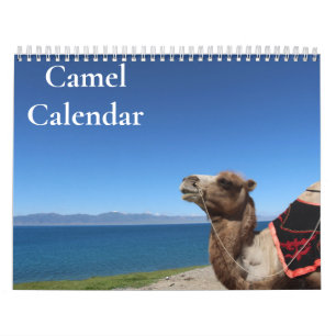Camel Calendar 2027