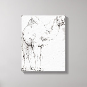 Camel Canvas Print