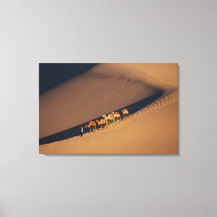 Camel caravan on the desert, Dunhuang, Gansu Canvas Print