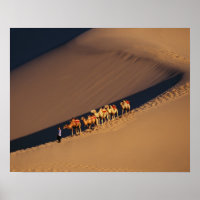 Camel caravan on the desert, Dunhuang, Gansu