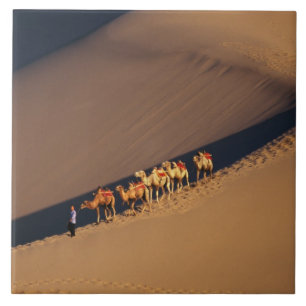 Camel caravan on the desert, Dunhuang, Gansu Tile