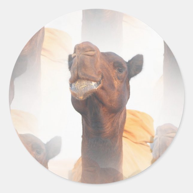 Camel Collage  Stickers (Front)