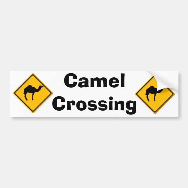 Camel Crossing Bumper Sticker (Front)