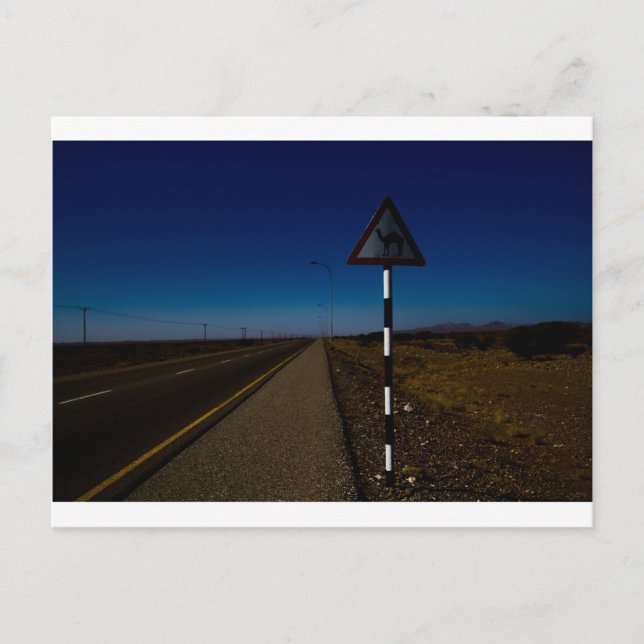 Camel crossing postcard (Front)