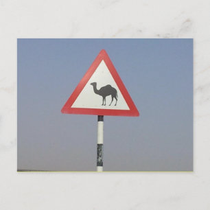 camel crossing postcard