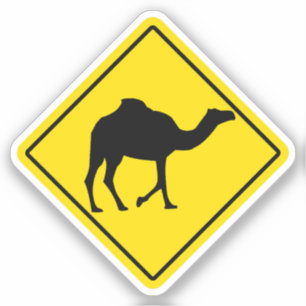 Camel Crossing Yellow Sign Middle East Funny Arab