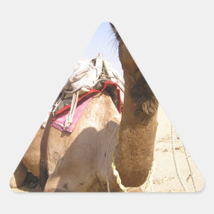 Camel Desert Middle East Peace Love Nature Destiny Triangle Sticker