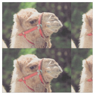 Camel fabric