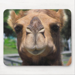 Camel Face Mouse Mat