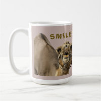 CAMEL FACE WITH TEETH & BIG SMILE LOOKS AT YOU