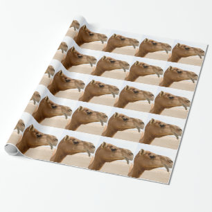 Camel face wrapping paper